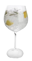 gin tonic